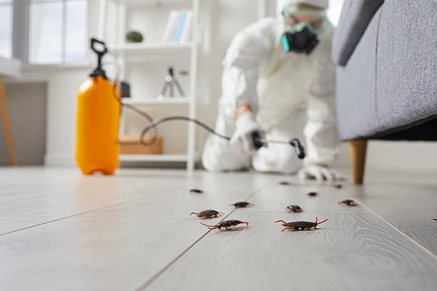 Post-Treatment Bed Bug Interceptor Monitoring in Valparaiso