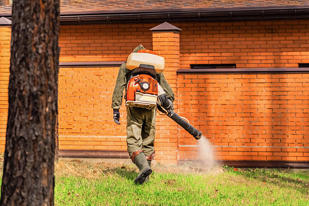 Bed Bug Clearance Verification and Documentation in Valparaiso